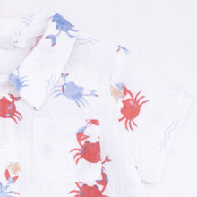 Crayon Crabs Polo Button Up with Everyday Shorts Set | 2T 3T 4T