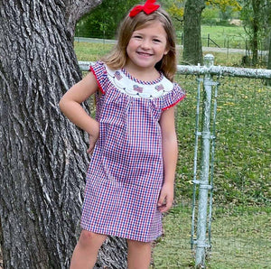 Red Blue 4th of July American Flag Gingham Dress | 3T 4T 5T 6